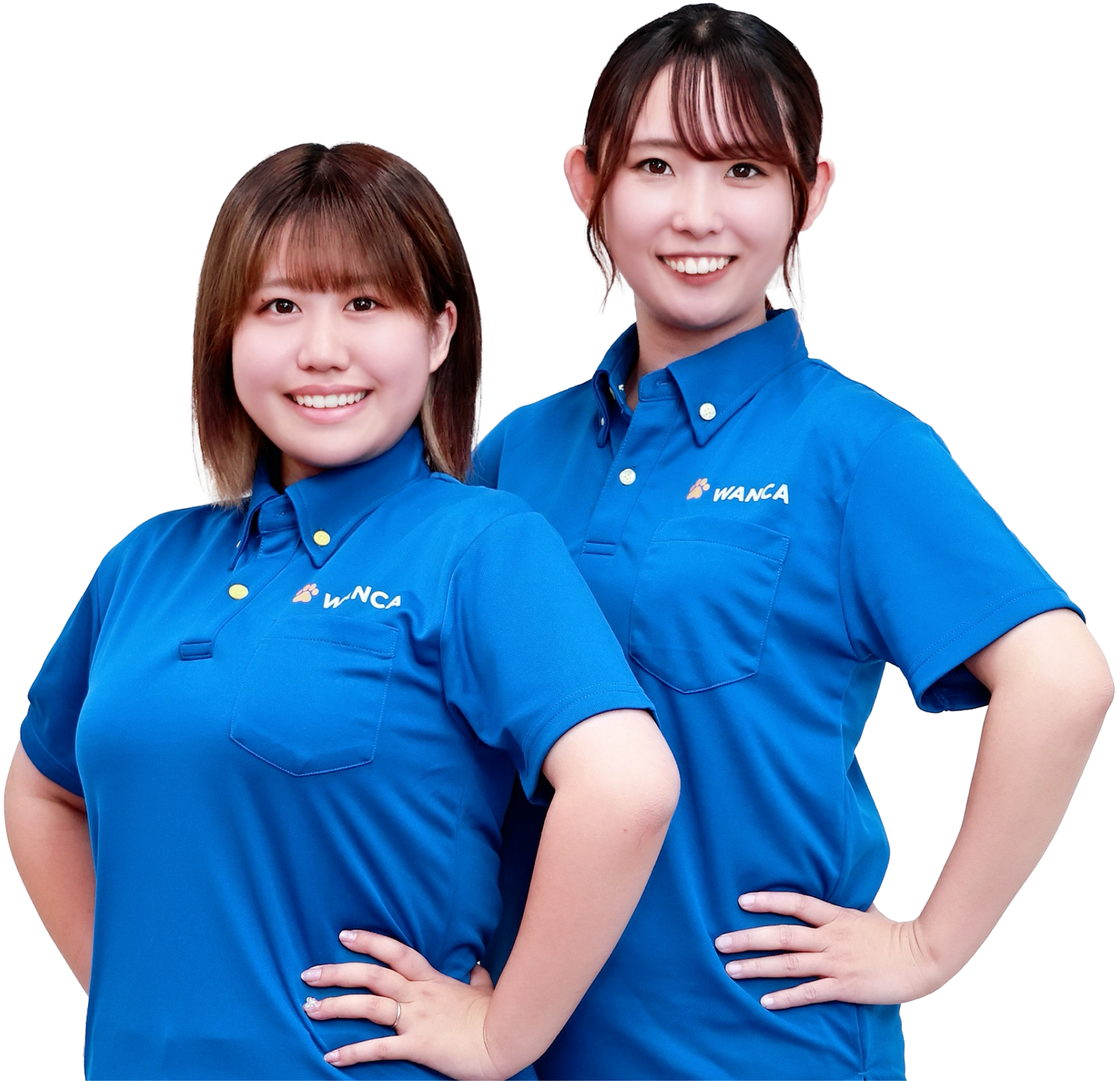 車の出張買取ならワンカ